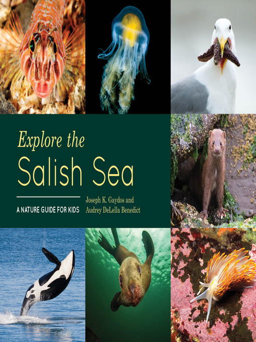 Cover image for Explore the Salish Sea